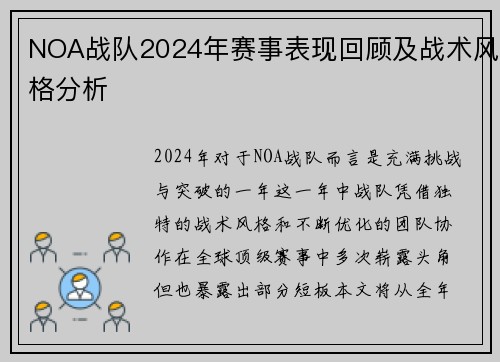NOA战队2024年赛事表现回顾及战术风格分析